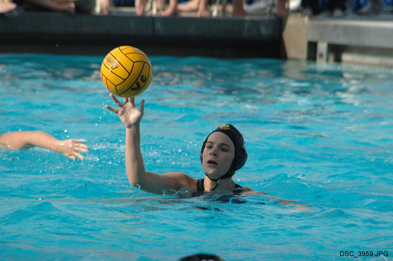 DSC_3959
