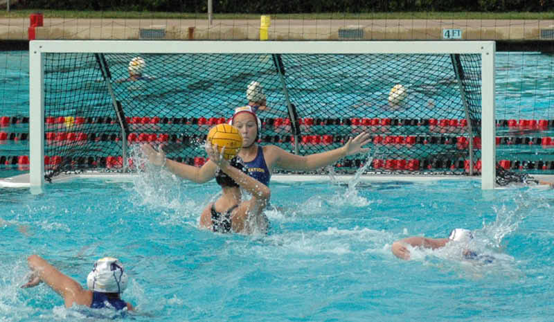 SHP 061_edited