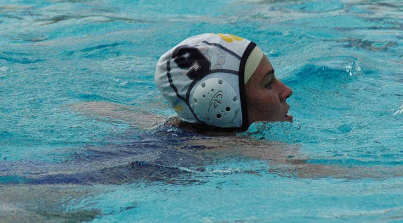 SHP 081_edited