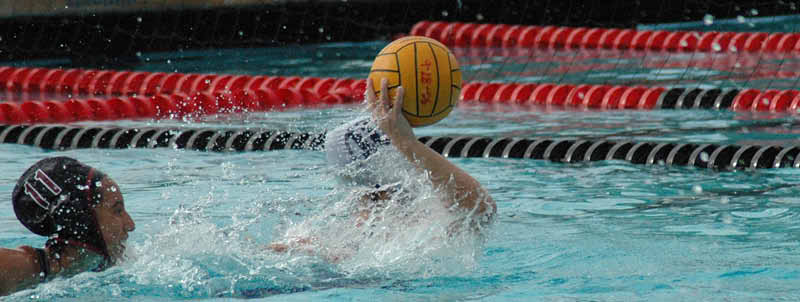 SHP 146_edited