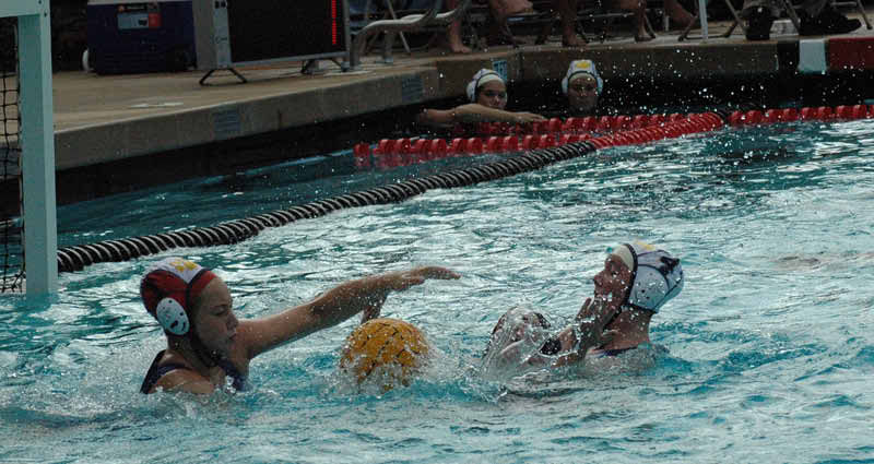 SHP 156_edited