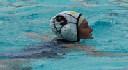 SHP 081_edited