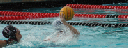 SHP 146_edited
