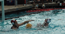 SHP 156_edited