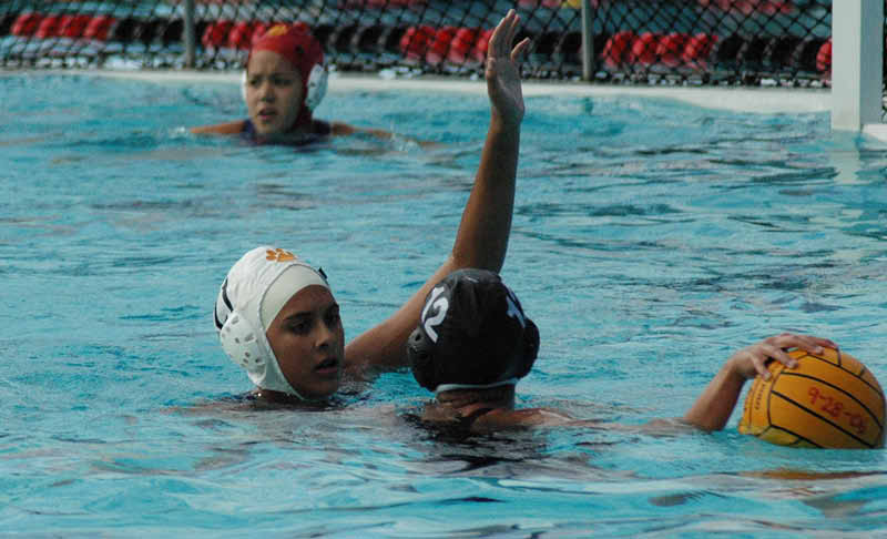 SHP 177_edited