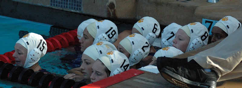 SHP 204_edited