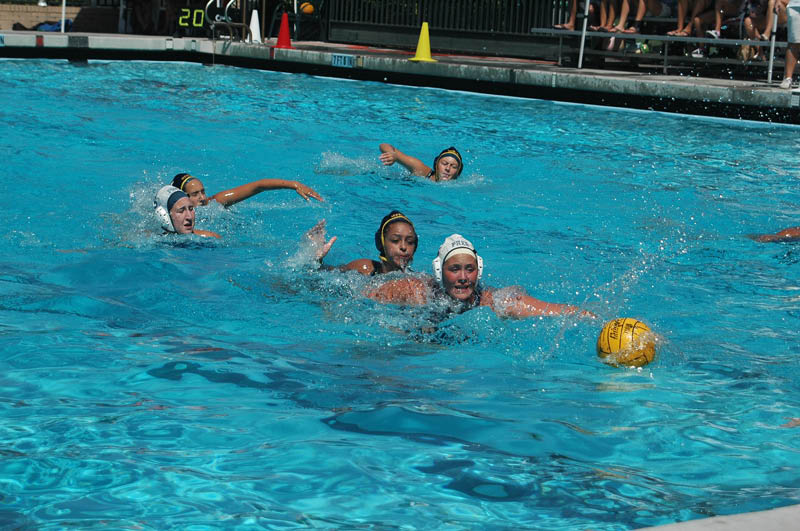 DSC_2649